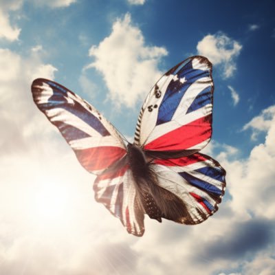 freestronguk's profile picture. #stoprussia