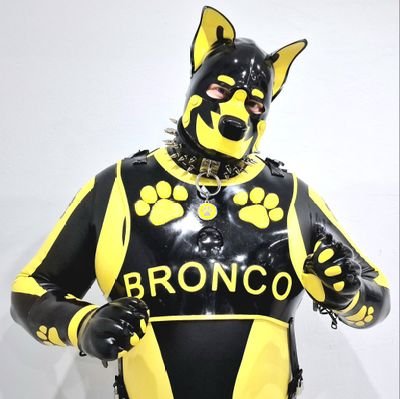 🐾Rubber Dog Bronco 🐾