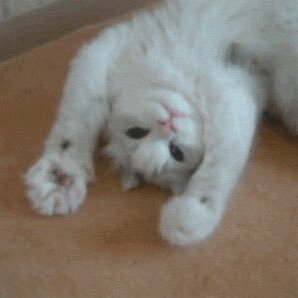 sweetheartsvoid's profile picture. ♡ ♡ ♡ Laura | 20 | Aus | Overwatch | Valorant ♡ ♡ ♡