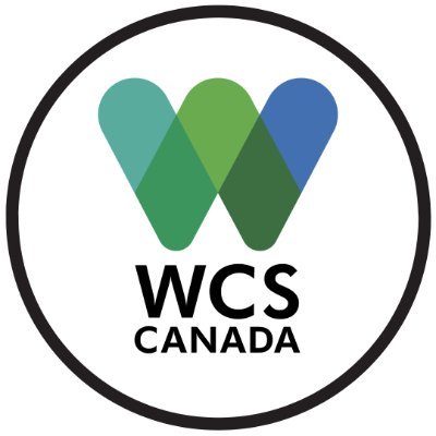 Wildlife Conservation Society Canada 🇨🇦   Dedicated conservation scientists in action to bring about a world where wildlife thrives 🌎 #WeStandForWildlife