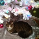 Penny Beason - @Pennybeason - Twitter