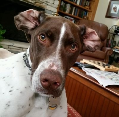 BampsBucke68610's profile picture. 