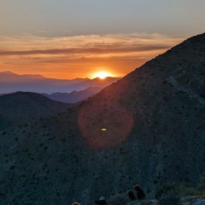 dspengineer1's profile picture. 