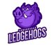 Louisville Ledgehogs (@Ledgehogs) Twitter profile photo