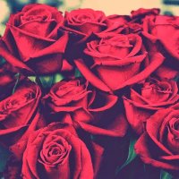 Toñi ZF (@zamudioton34827) 's Twitter Profile