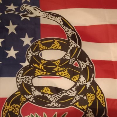 tntphillips6691's profile picture. Looking for 👉 The truth and nothing but the truth !!  I'm Not A Bot.  I'm on the side of humanity and love freedom  🇺🇸