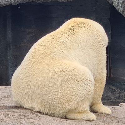 silver3parre's profile picture. All tweets represent my personal opinion and does not reflect or relate to my current employment.