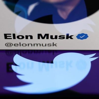 I have to meet @Elon_Musk@ it's my only dream