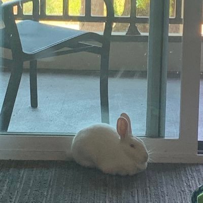 norelief__'s profile picture. 🏳️‍🌈 she/her