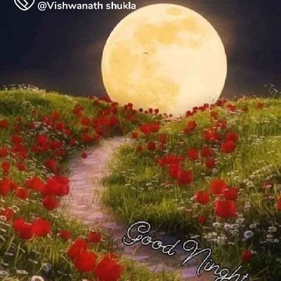 Saanvi_thakur7's profile picture. दो लोग जिनको मैं जिंदगी में कभी नहीं भूलती!!
1....एक वो जिसने तकलीफ दी!!
2... एक वो जिसने तकलीफ में साथ दिया !!
Proud to be Indian 🙏🚩