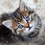 Cath Ⓜ (@cathrn95) 's Twitter Profile Photo