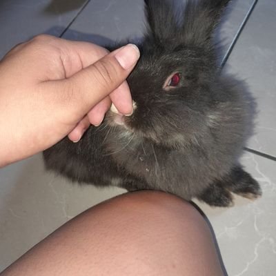 chelmp3's profile picture. Me encanta la mostaza