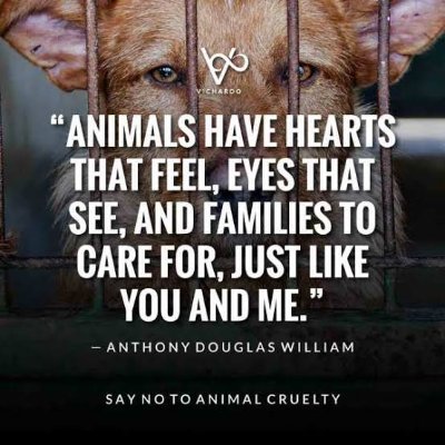 Advocate, practising in District Courts of Delhi | LL.B. from Delhi University | Animal Lover
