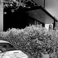 R3D. (@grx366) 's Twitter Profile