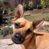 Matt Gaetz Still Sucks 😏 (@krisalt2kris) 's Twitter Profile