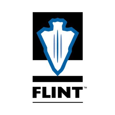 FLINT_Corp_ Profile Picture