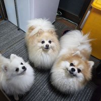 てっちゃん (@tetsuyajeep) Twitter profile photo