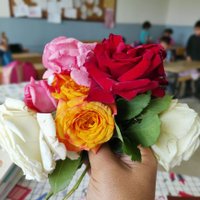 MEB'in yolcusu (@ayazfeyaz36) 's Twitter Profile Photo