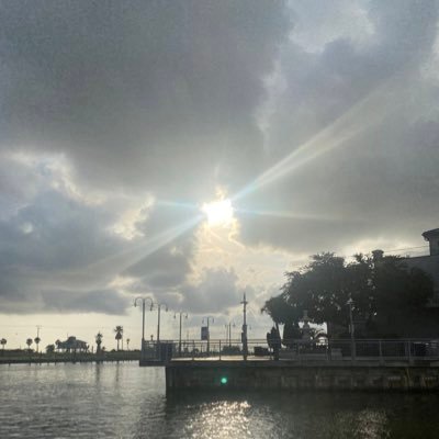 treasuresiland's profile picture. 