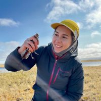 Lauren Puleo (@limpkinlauren) 's Twitter Profile Photo