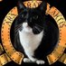 John (Anarcho Cat) (@anarcho_cat) Twitter profile photo John (Anarcho Cat) (@anarcho_cat) Twitter profile photo