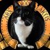 Anarcho Cat (@anarcho_cat) Twitter profile photo