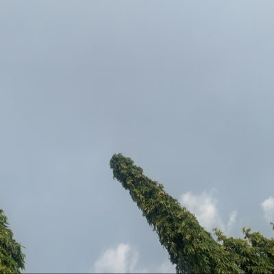 emb_assy's profile picture. Self employed