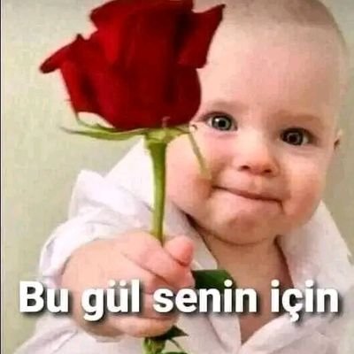 KemalAr00396308's profile picture. İstanbul.