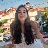 Dicle (@diclebakirhan) 's Twitter Profile