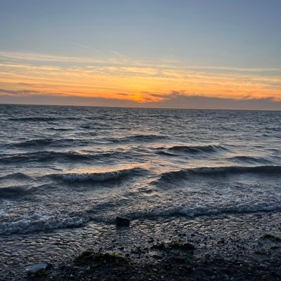 whysharlat's profile picture. Musician, educator, dad. Indoctrinates at @UTAustin.