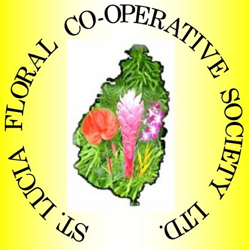 stluciaflowers's profile picture. Connecting Farmers with Buyers of Anthuriums, Orchids, Ginger Lillies, and Heliconias in Saint Lucia
