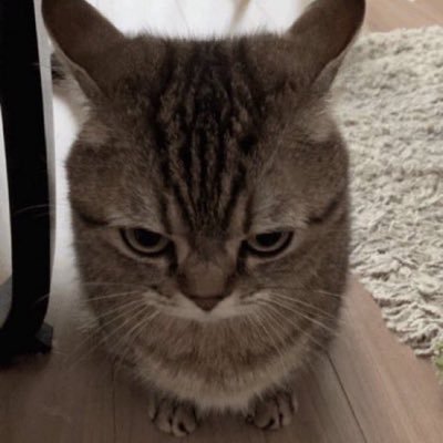 rfhyghm's profile picture. 