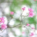 Debbie colvin - @ColvinDebbie - Twitter