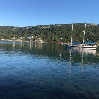 maxi8181's profile picture. Pop