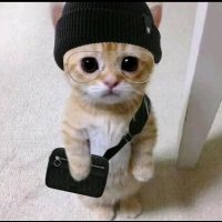 Limpton (@psycomacton) 's Twitter Profile