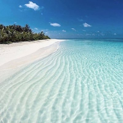 Lebakang's profile picture. Arts & Music lover, Liverpool FC & Real Madrid fan.