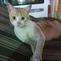 AbdullRahman (@abdullr39277834) 's Twitter Profile