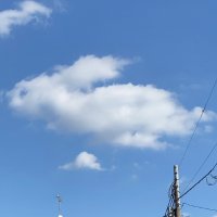 れん (@ren0120120) 's Twitter Profile