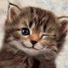 Here Kitty Kitty Kitty (@peoplertranced) 's Twitter Profile
