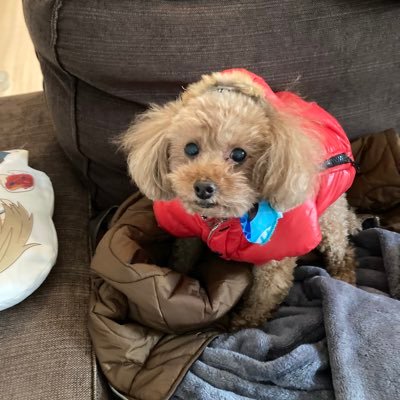 1Yd2Qd1QPA9r0f7's profile picture. 