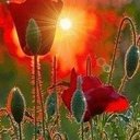 Pamela Stiles - @pamela_sti7747 - Twitter