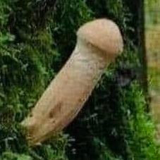 goto51018's profile picture. 男、話しが早い裏垢女子希望
#オフパコ