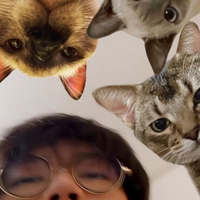 louiebirlovely's profile picture. 