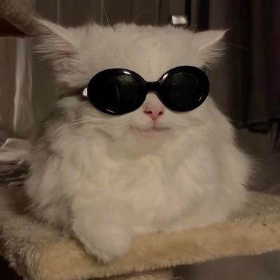 FSalah95's profile picture. 