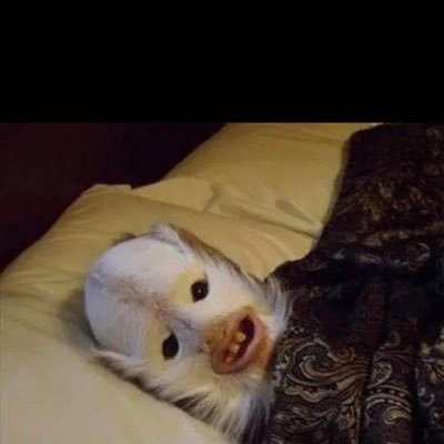 hool1724's profile picture. 