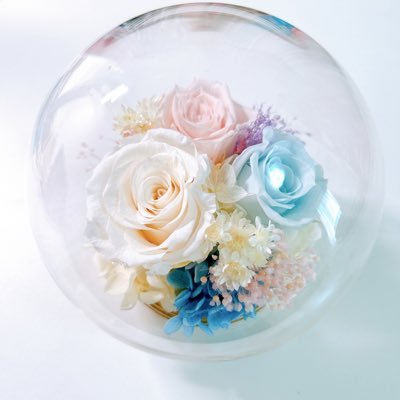 donnot_ikiisogi's profile picture. 不安を生きる道理もないし ままごとなんて造作もないし