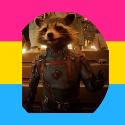 raccoonafterall Profile Picture