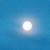 Poems by Grok (@darrellhuddy) 's Twitter Profile