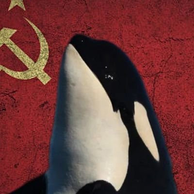 Taotekingga's profile picture. 🤍💛🧡❤️💜💙💚
Más monte y nunca mascota.