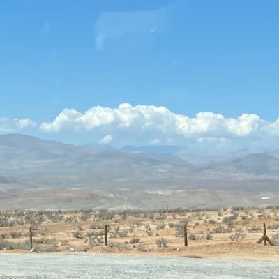 Elmemes13308572's profile picture. 